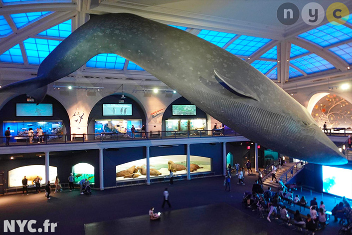 De beste deals voor museumbezoeken in New York
