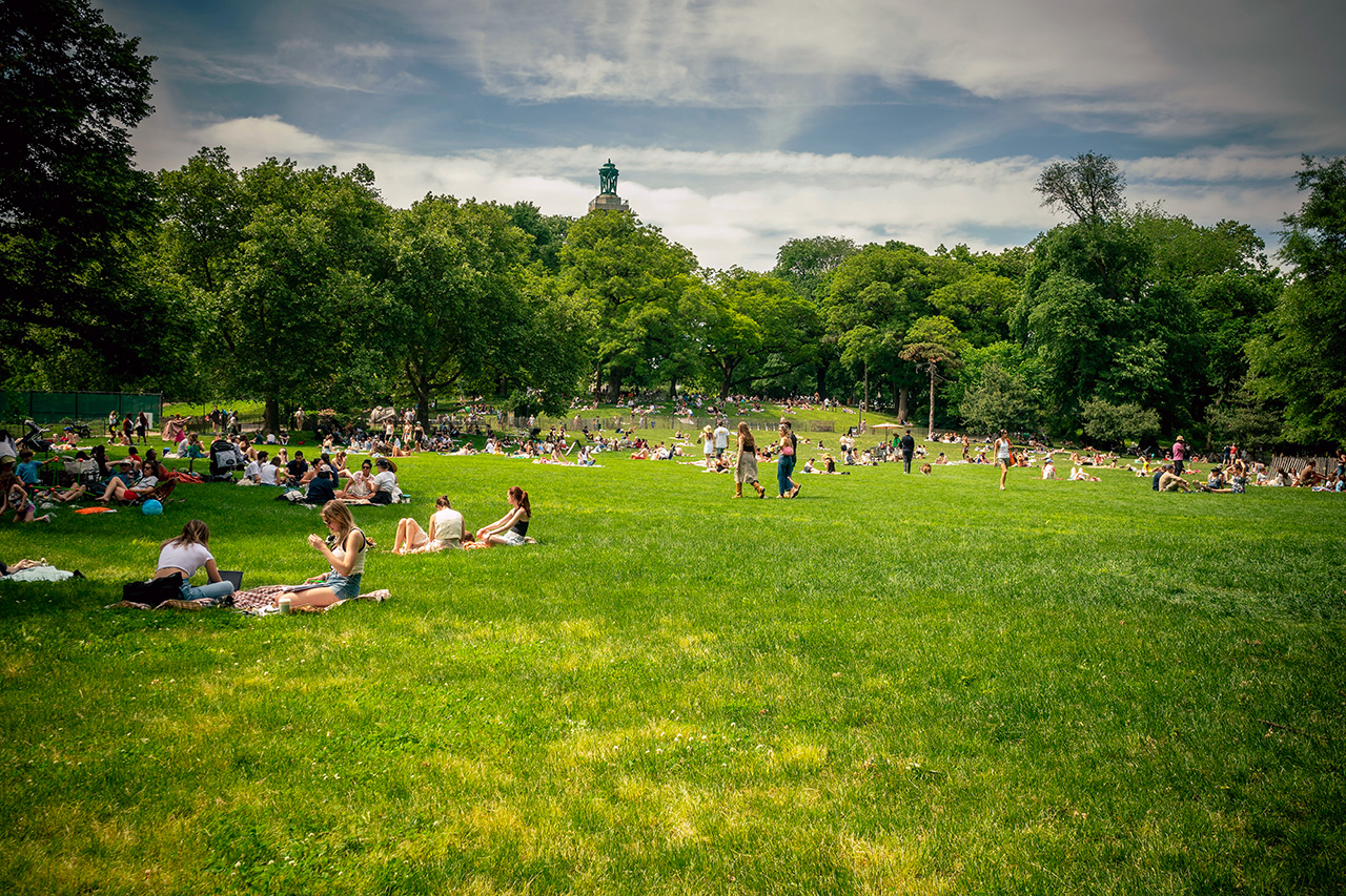 Credit Photo rblfmr via Shutterstock
Fort Green Park Brooklyn Park